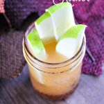 Apple & Persimmon Kicker
