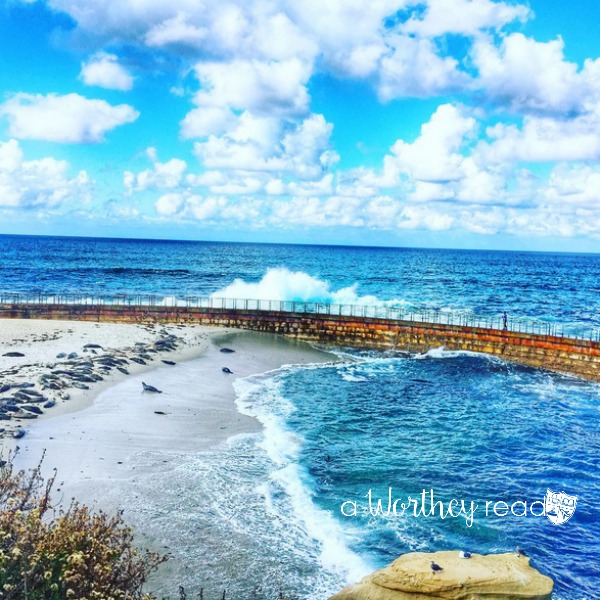 Best things to do near San Diego for free or cheap