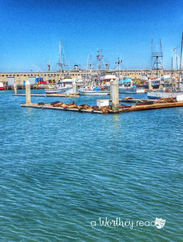 Things for Couples To do in San Francisco