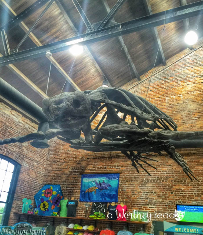 Things to do at Jekyll Island for families