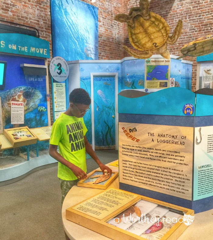 Things to do at Jekyll Island for families