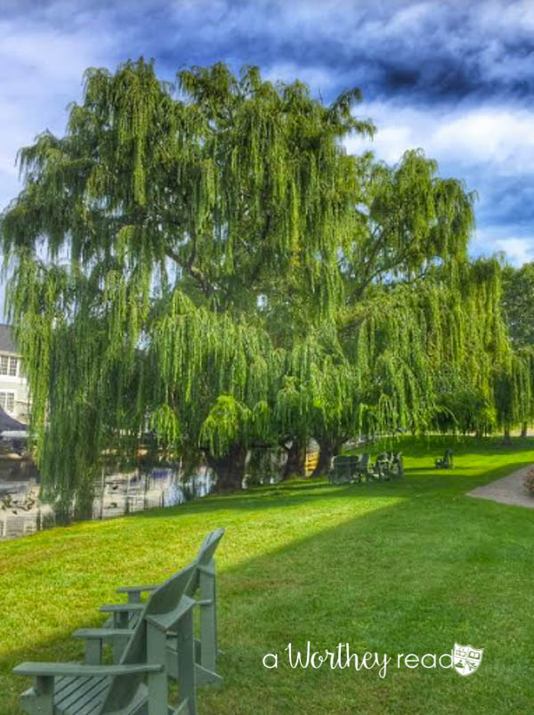 Harbor Ground Lake Michigan