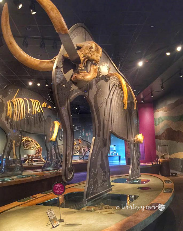 Things to do in Hemet