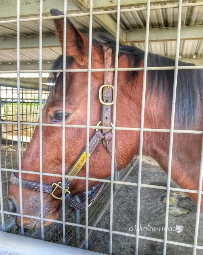 Things to do in Hemet