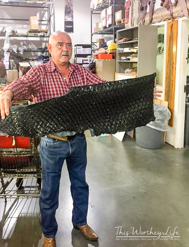 Lucchese Boots in El Paso