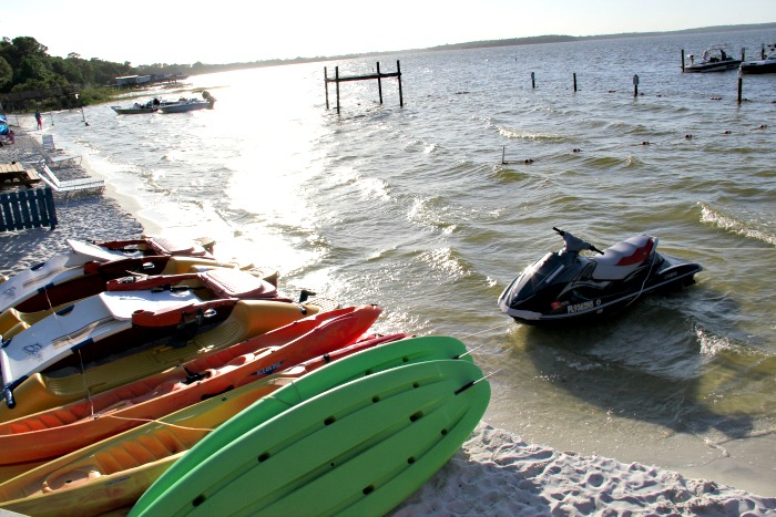 Adventures You Can Have In Ocala/Marion County Florida