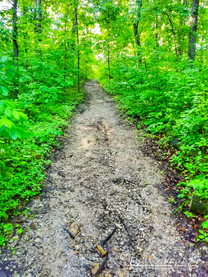 The Ultimate Summer Bucket List For Dads