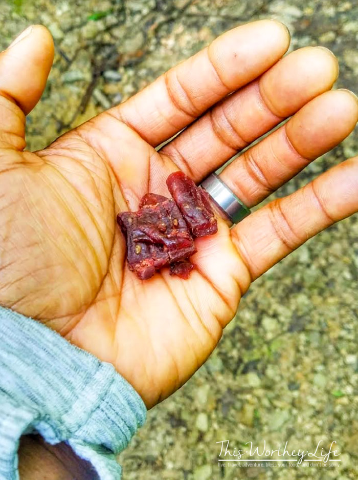 Dads Summer Bucket List