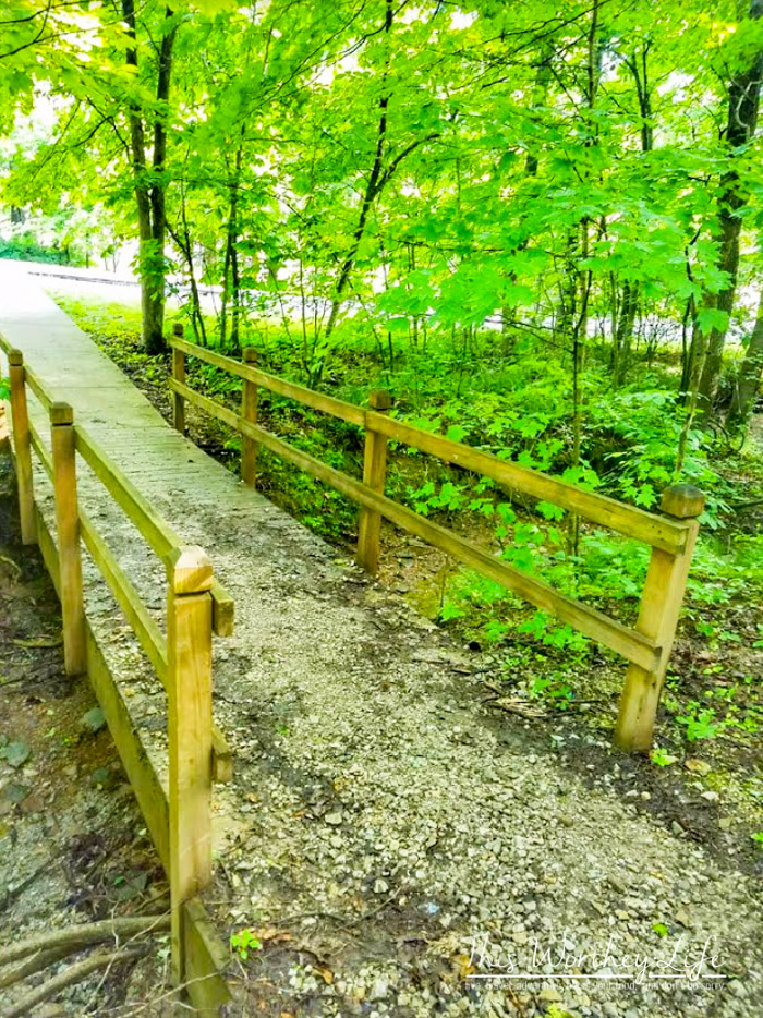 The Ultimate Summer Bucket List For Dads