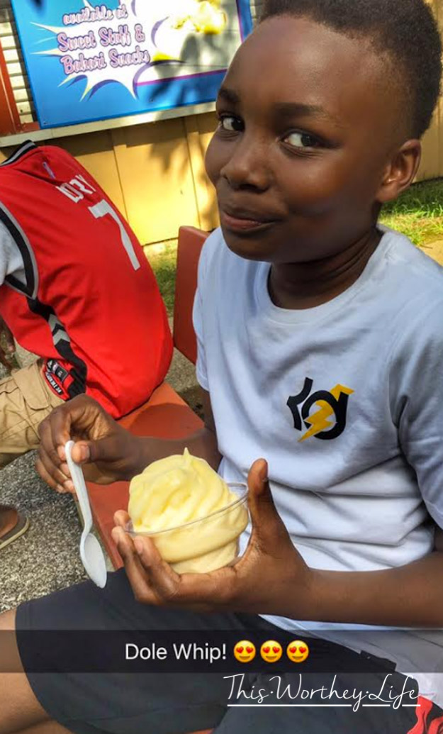 Best Theme Park in the MidWest