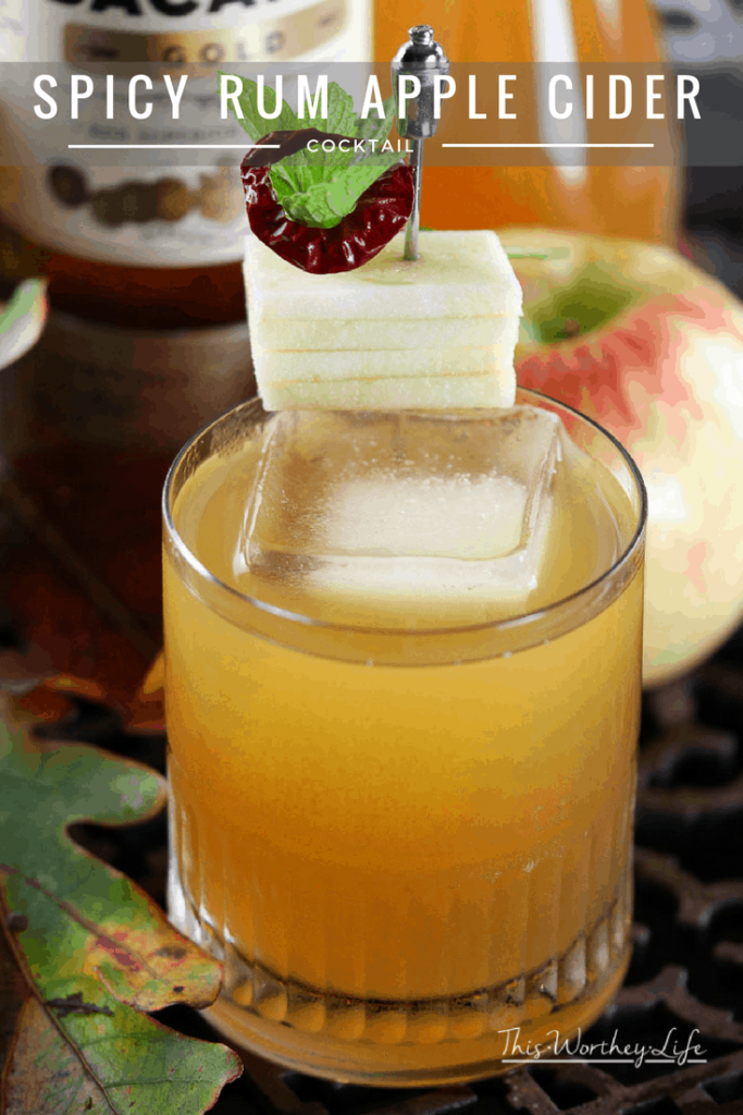 We created an elegant Halloween cocktail for you to make this year. Get this Halloween cocktail recipe on the blog- How to make a Spicy Rum Apple Cider