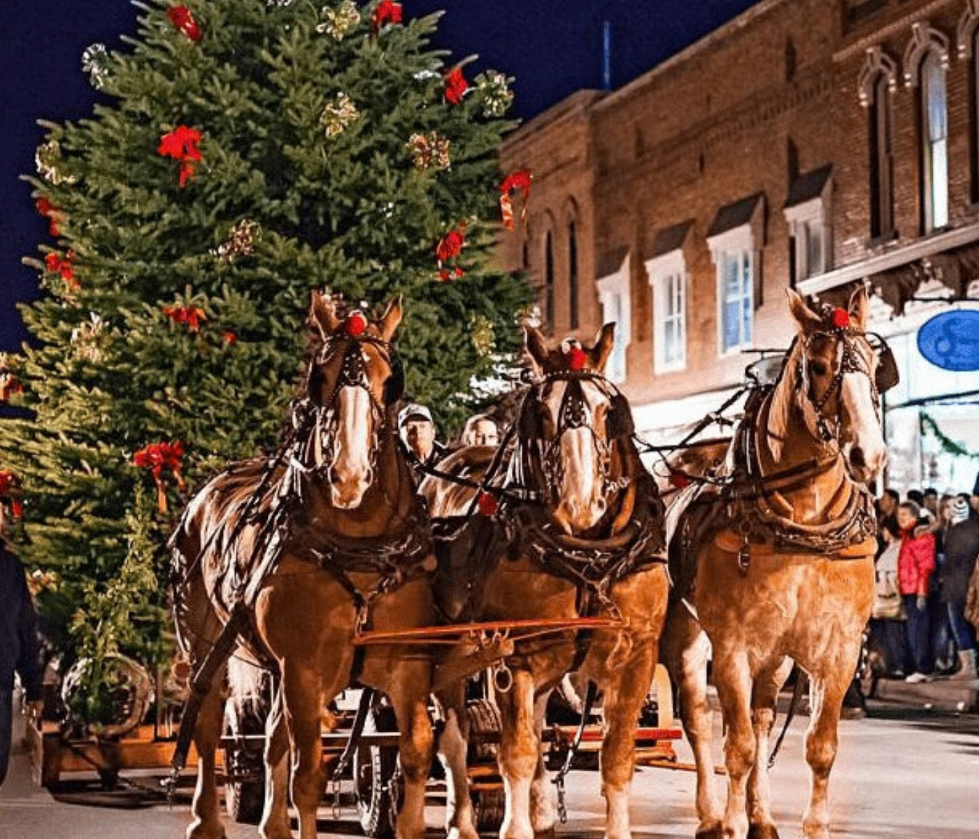 Manistee christmas parade
