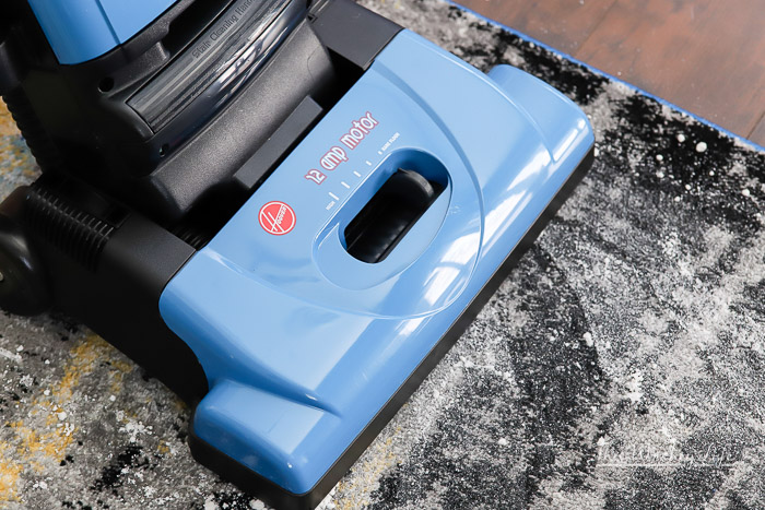 Tips on cleaning your house when you have pets