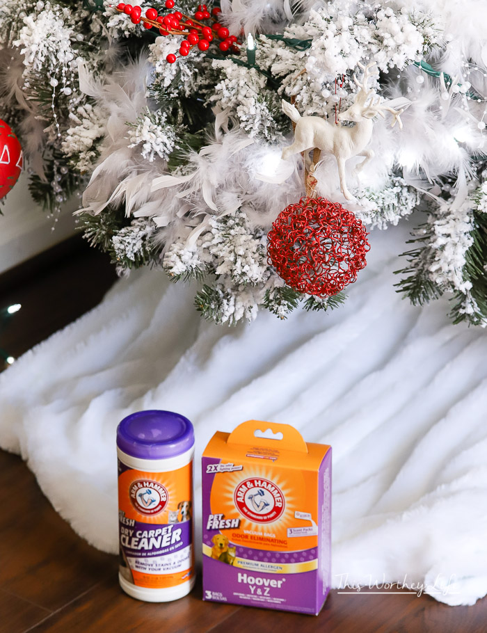 tips on cleaning your house when you have pets