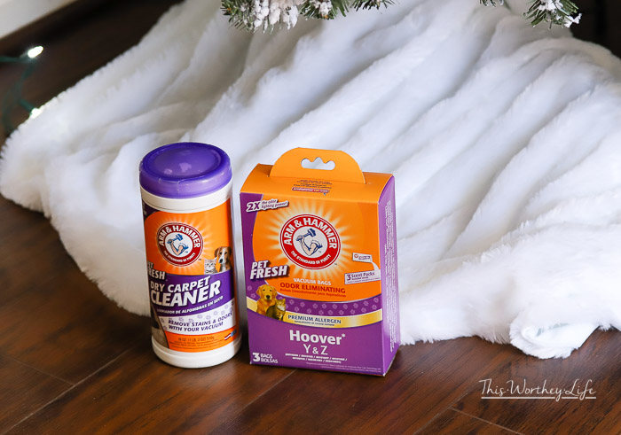 tips on cleaning your house when you have pets