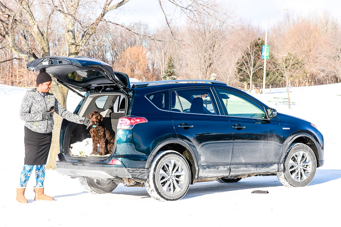 9 Dog Activities To Try During Winter With The 2017 Toyota RAV4 Hybrid XLE