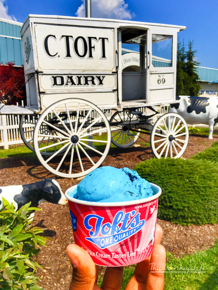 Best Ice Cream in Sandusky- Toft Ice Cream