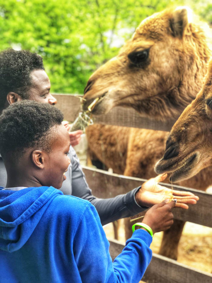 things to do at Cedar Point for the whole family