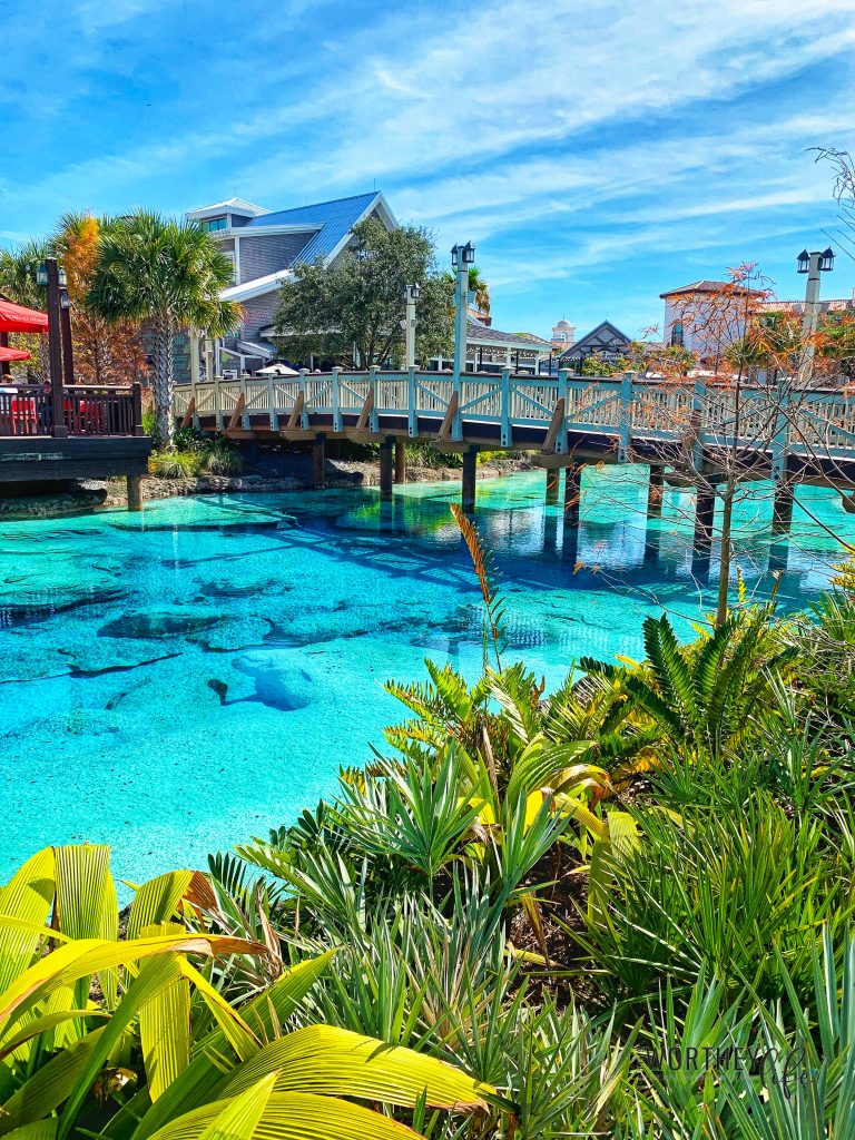 things to do at Disney Springs