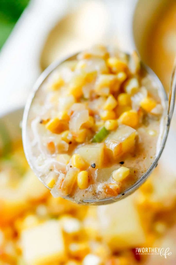 easy 30 minute vegan soups