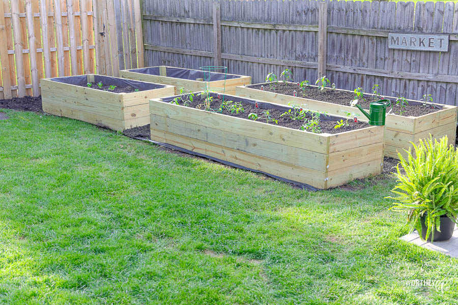 DIY raised garden beds