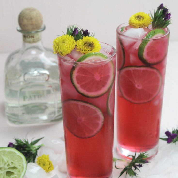 Image for Hibiscus Tequila and Sprite Cocktail