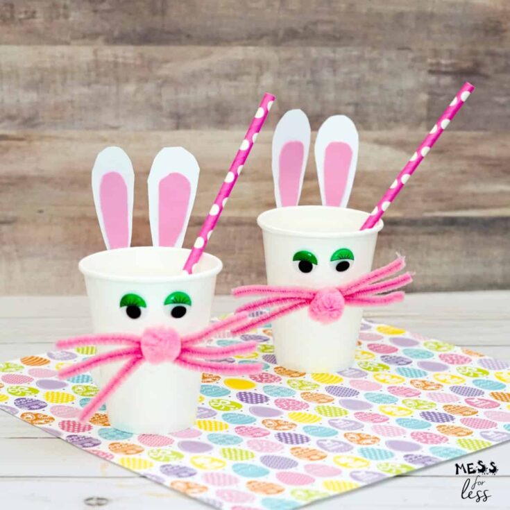 Image for Easter Bunny Cup Craft
