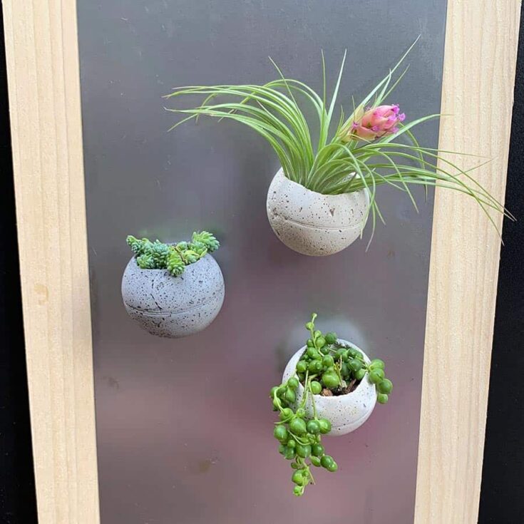 Image for DIY Magnetic Cement Planters That Are Round