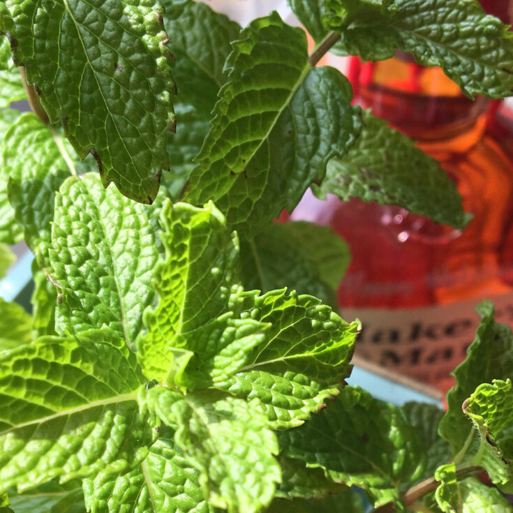 Image for My Favorite Derby Day Mint Julep