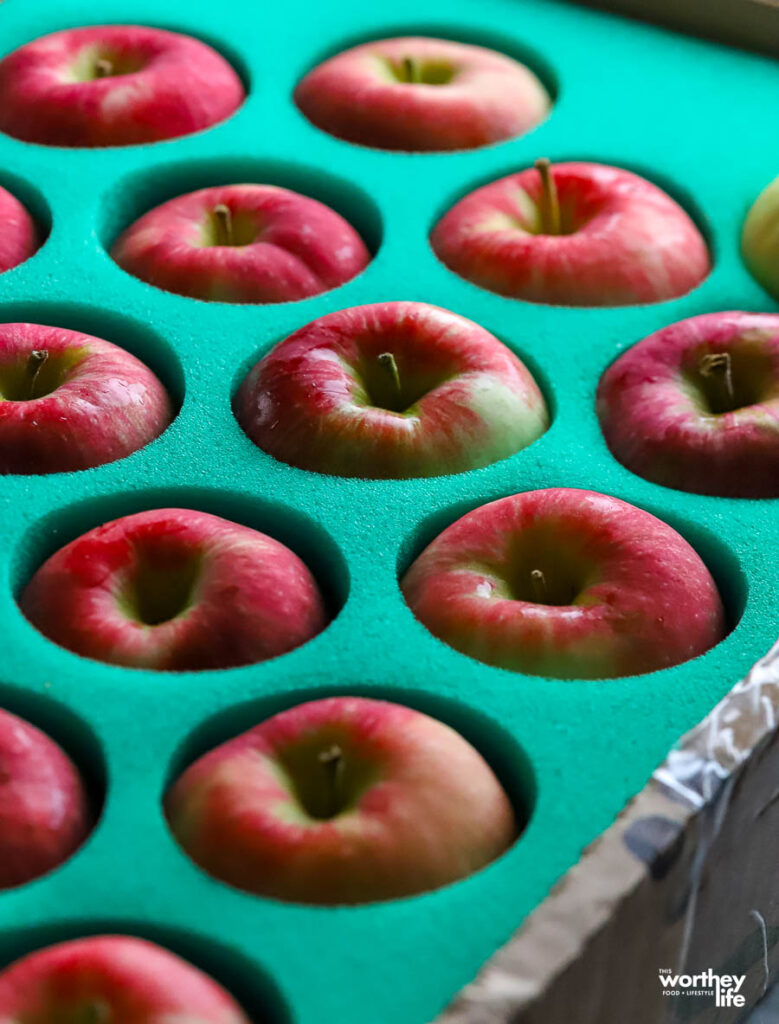 north bay produce apples