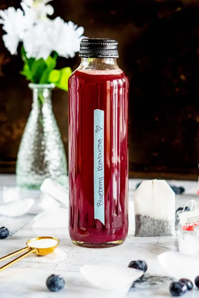 Blueberry Kombucha