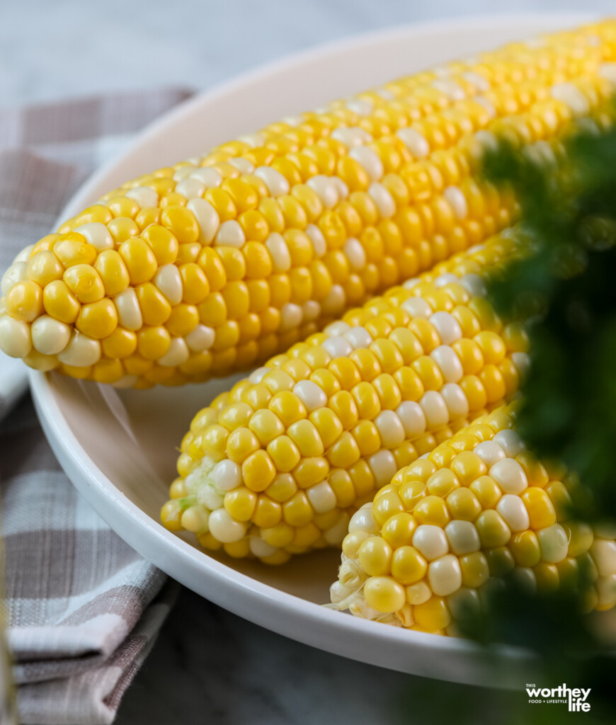 fresh sweet corn on a white plate