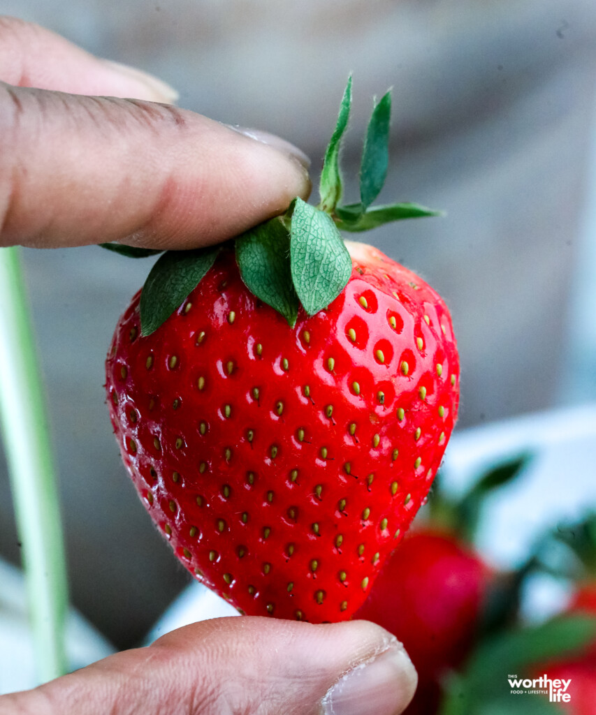 a man holding a fresh strawberries