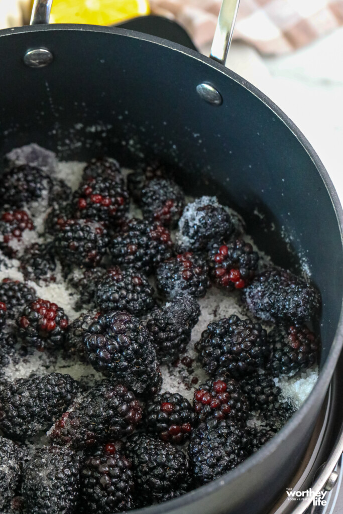 plump erandy blackberries in a pot with sugar