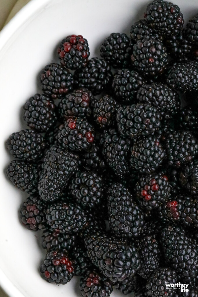 fresh erandy blackberries in a white bowl