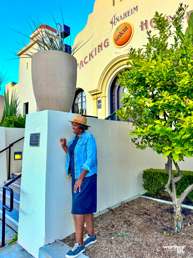 Where to Eat & Explore Near Our Anaheim Vacation Rental: Local Gems You'll Love