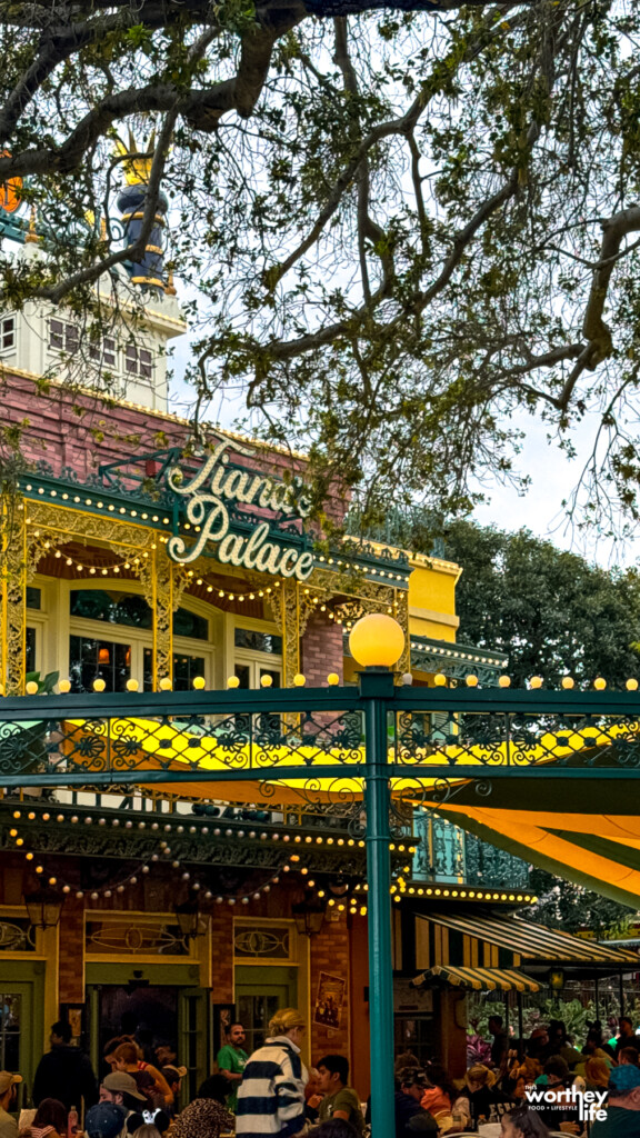 Tiana's Bayou Adventure