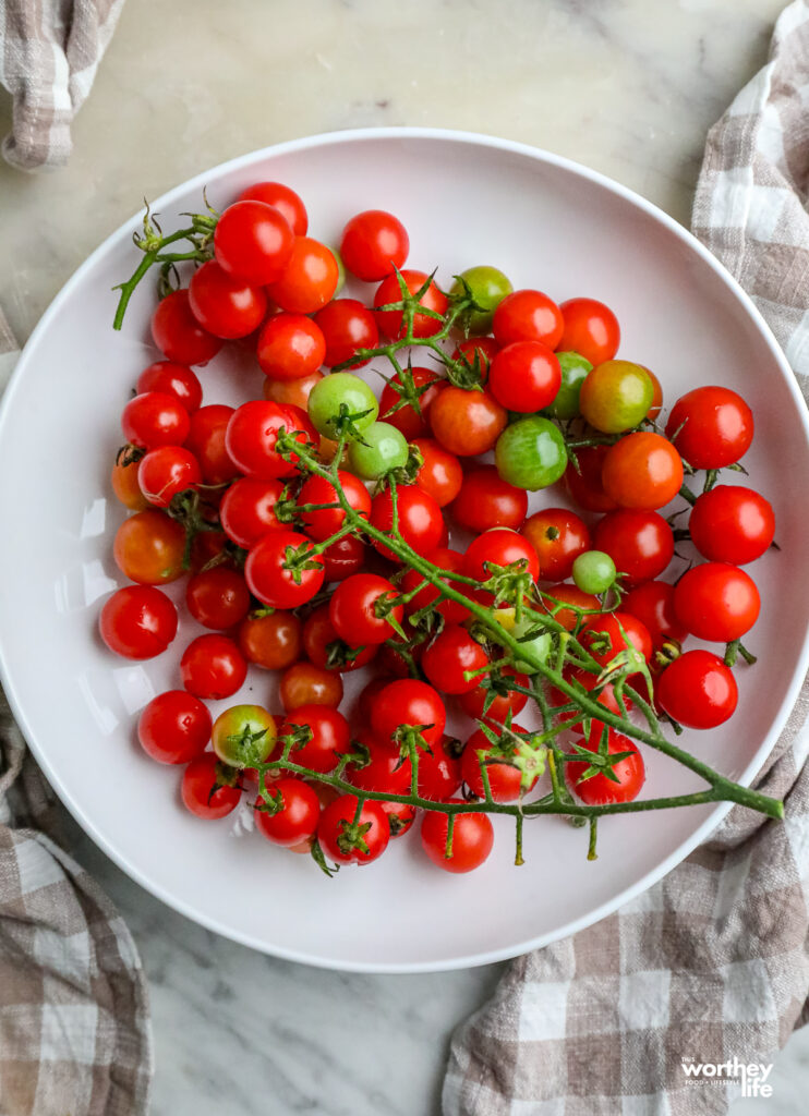fresh garden cherry tomatoes on a plate